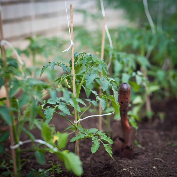 Agricom France: pionnier de l'agriculture bio-régénérative